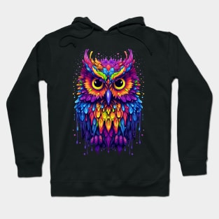 Colorful melting Owl Designe Hoodie